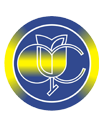 logo fssstvp