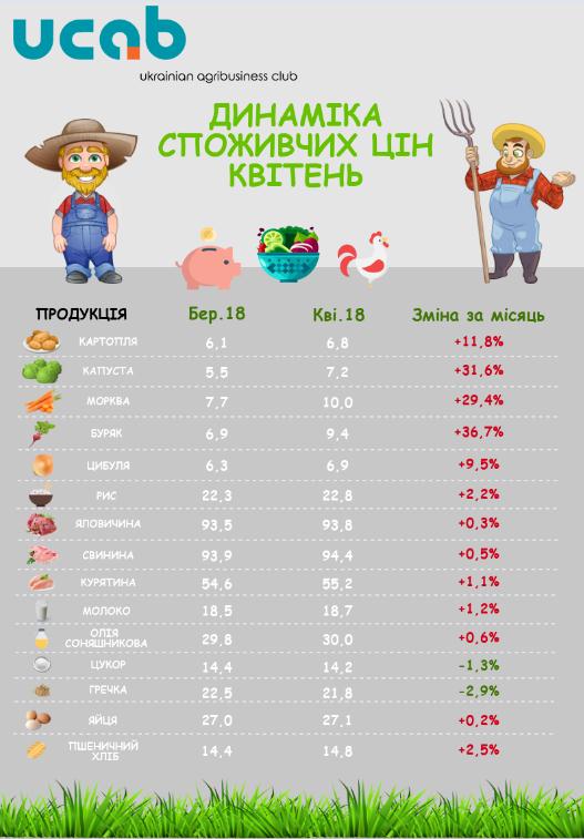 ИНФОГРАФИКА 