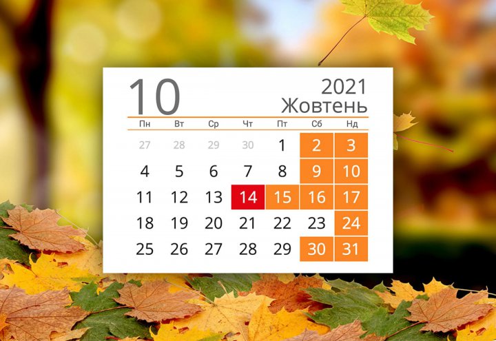 1633961462 614d7ab654e75 ecooboi listya klena opadajut 10138 1547373924jpg