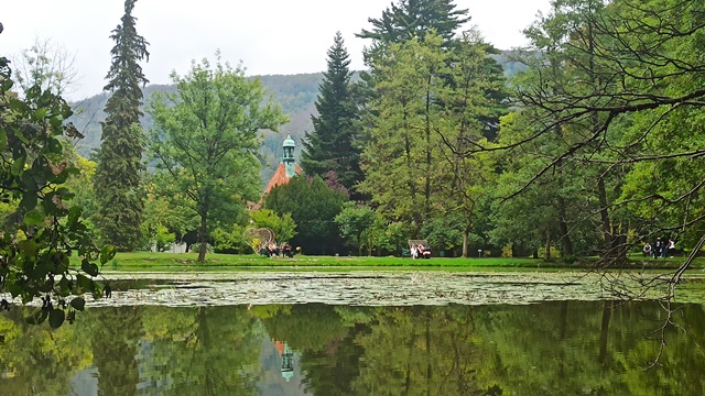 IMG 20220917 122730
