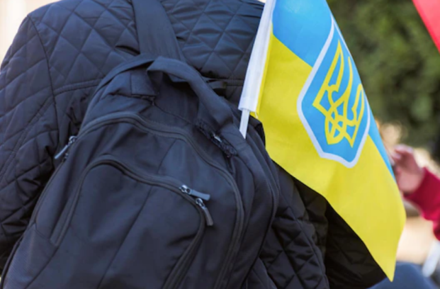 Страхові виплати у зв’язку з тимчасовою втратою працездатності внутрішньо переміщеним особам 