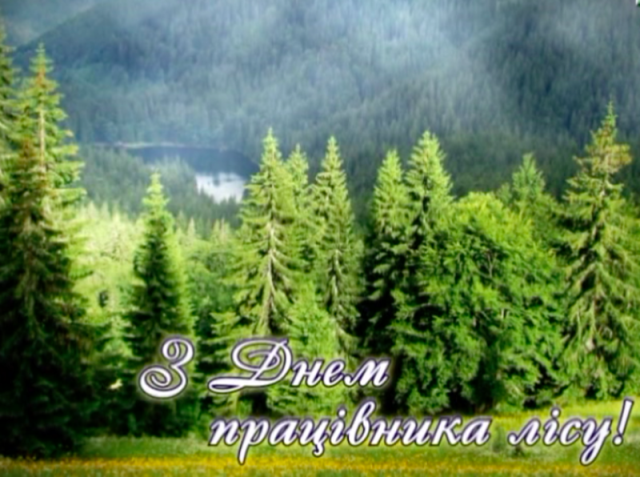 1505474518 snimok yekrana 2016 09 16 v 13 48 28 58