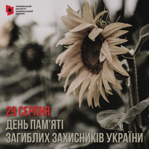 соняшник